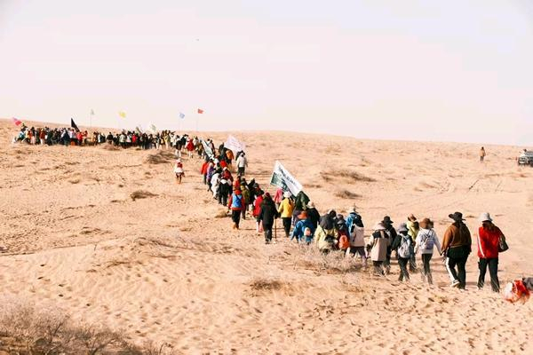 来自全国各地的志愿者参加“请到民勤种棵树”活动。团民勤县委供图