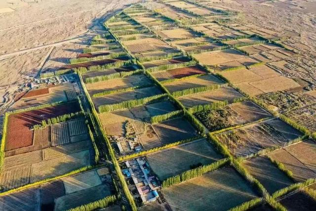 航拍下的308里防风固沙林带。（资料图）
