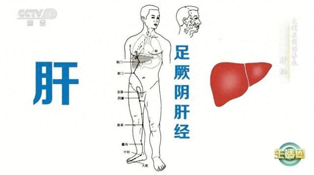 春季养肝=养命！建议你做好这5件事