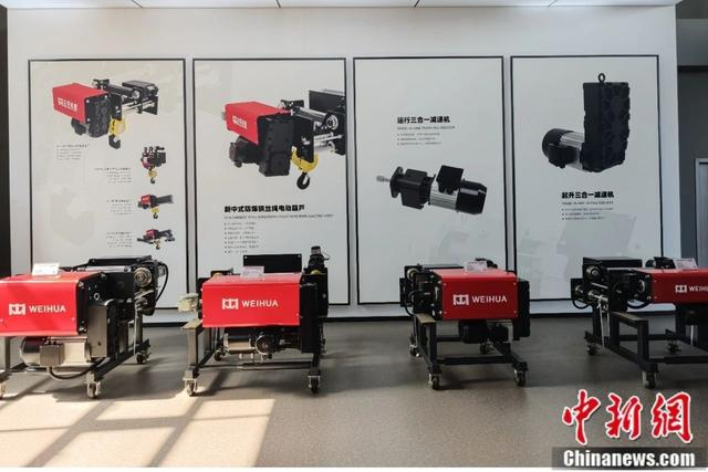 图为卫华集团多样化智能起重产品。李海珠 摄