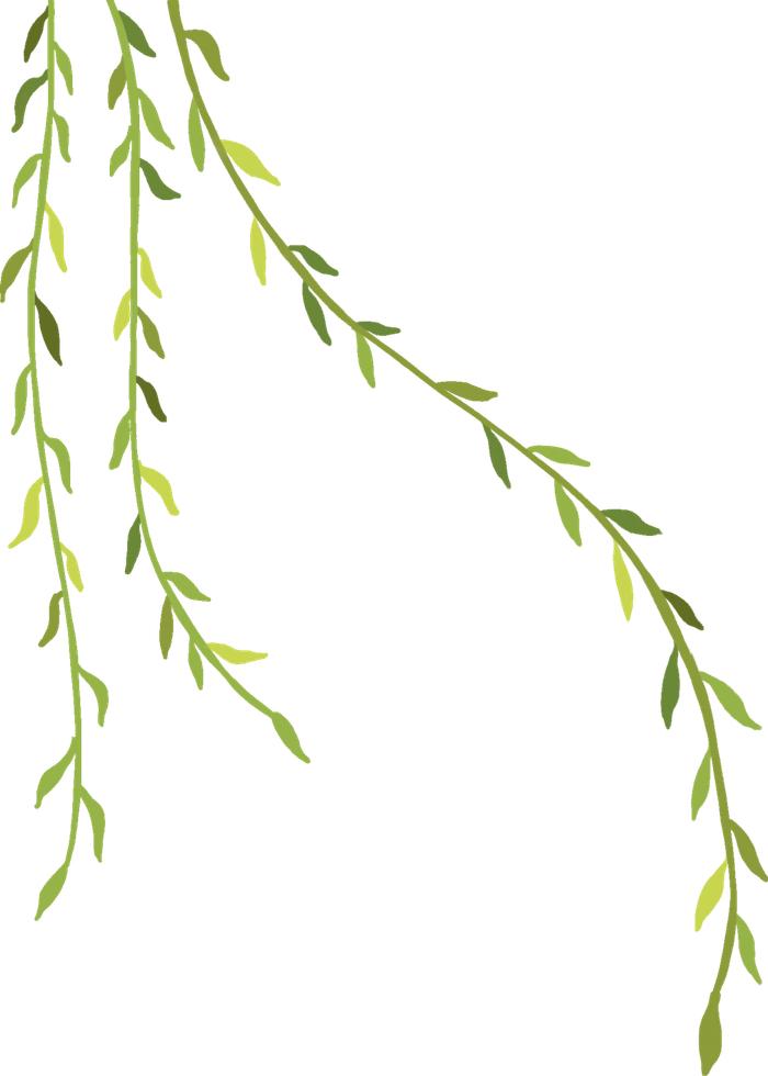 香蕉中的白筋是什么？到底能不能吃？（香蕉皮上有白点怎么回事）