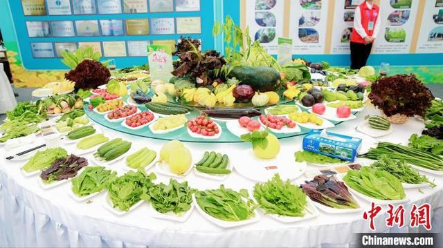 4月17日，活动现场的青县果蔬展览。 洪波 摄