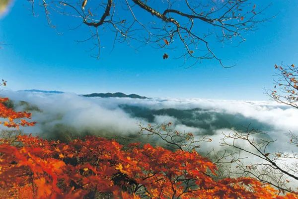 当地风景/图源：图源：恒仁满族自治县人民政府网