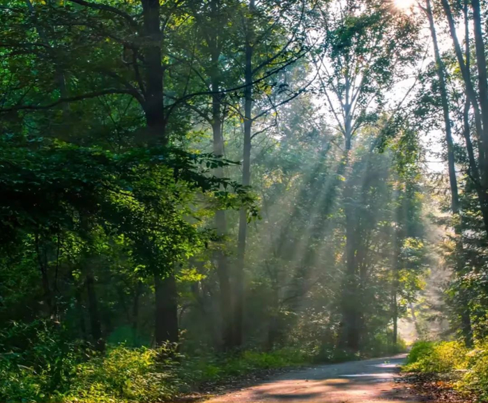 图源：抖音@悠游吉林