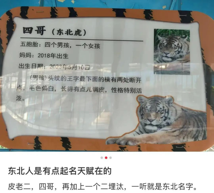 图源：小红书@饭饭，已获授权