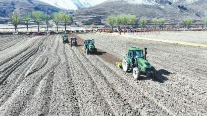 　　甘孜县春耕开耕仪式上，数台大型机械配合作业。 刘鑫 摄
