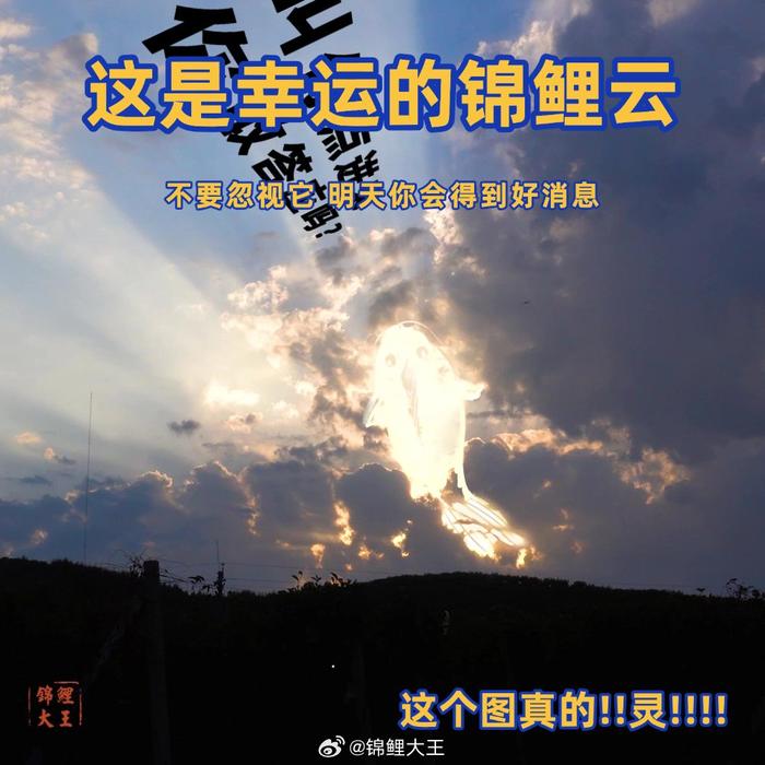 恭喜你刷到这朵超级无敌幸运的锦鲤云，此云乃天时地利人和的祥瑞之兆…