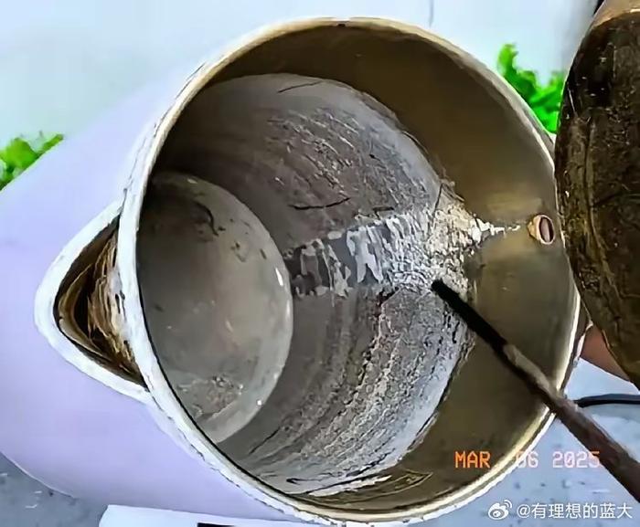 烧水壶里面的水碱，用钢丝球也擦不掉有啥好的办法擦掉吗？