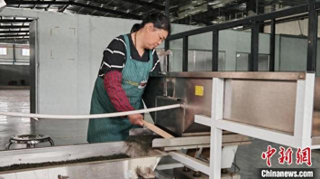 图为庐山市某茶企生产车间，工人正在工作。巫发阳 摄