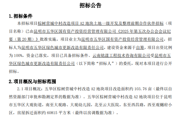 招标公告截图