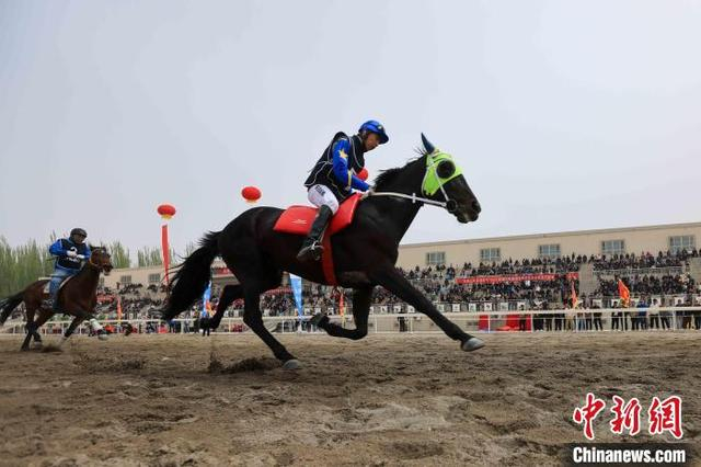 选手与马匹默契配合，上演“速度与激情”。董柱岑 摄