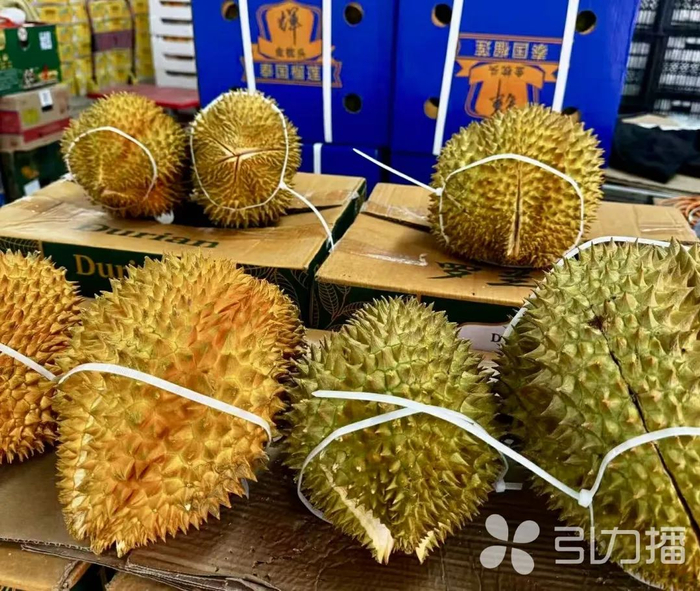 榴莲迎来丰收季。南环桥市场供图