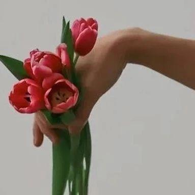 “我，正经妈妈，实名举报《红楼梦》，宝玉和袭人乱搞男女关系，教坏我家儿子！”