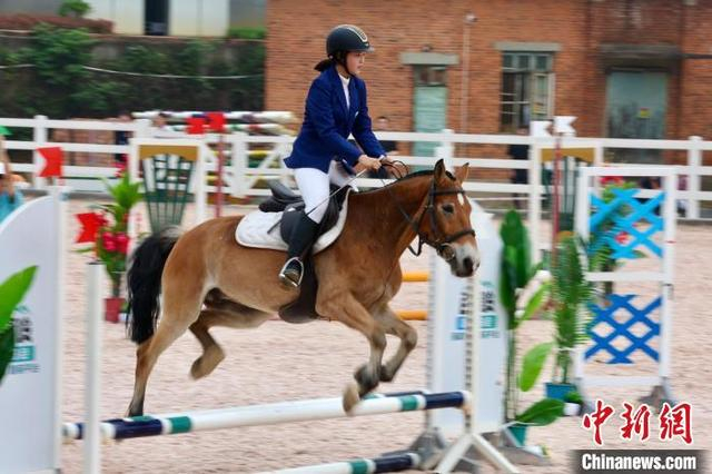 图为2025年江西省青少年马术锦标赛暨中部三省中三角马术场地障碍公开赛现场。刘占昆 摄