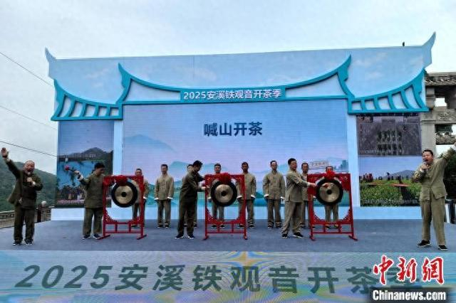 4月20日，2025安溪铁观音开茶季活动启幕。图为“喊山”开茶仪式。中新网记者 孙虹 摄