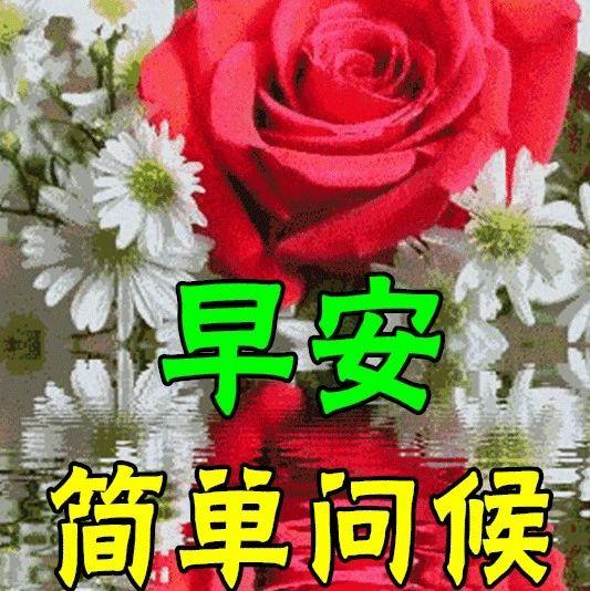 早安！清晨一起微信见，送上问候和思念，言语不多心里暖，亲情友情记心间~