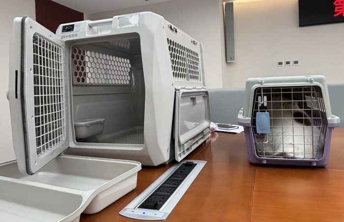 图为宠物运输箱与普通航空箱尺寸对比。