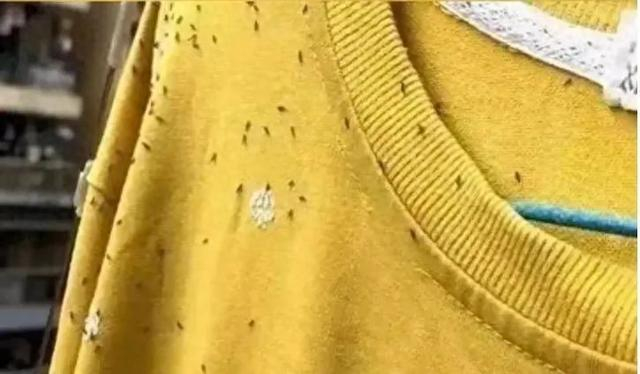 图源：潇湘晨报 