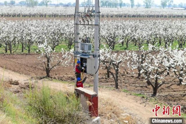 供电职工检查供电设施，确保供电正常。 成壮明 摄