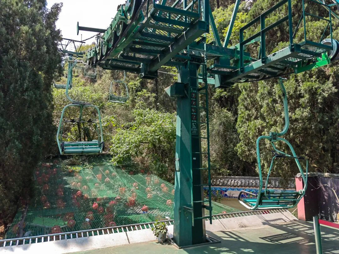 都市时报全媒体实习生 李淑娴/摄