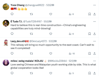 海外网友评论截图