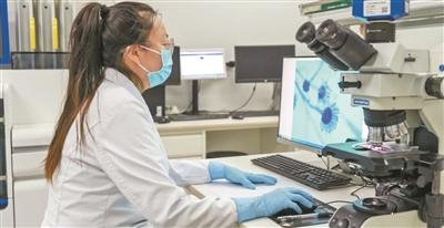 天津市肿瘤医院空港医院医务人员在化验样本。资料图片