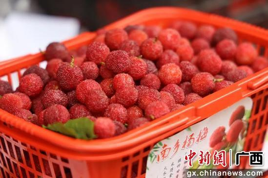 横州市官方 供图