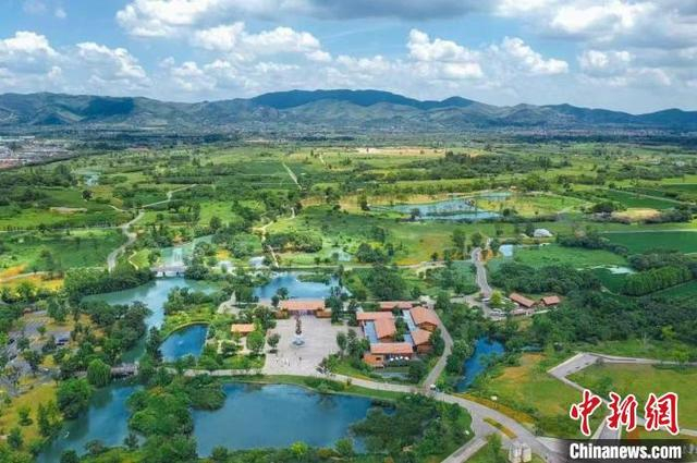 良渚古城遗址公园。谭琴 供图