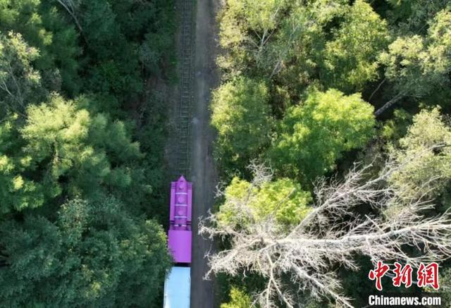 亚布力森林小火车 亚旅投集团供图