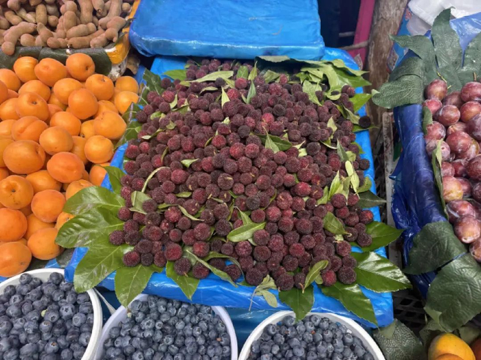 30元一公斤的石屏小果杨梅