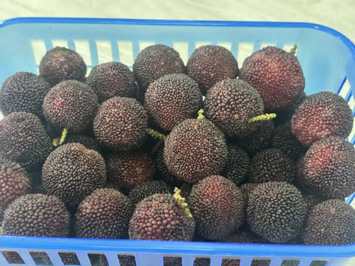 20元一盒的石屏当季中果杨梅