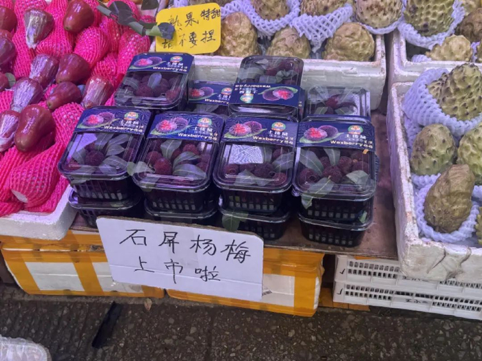 25元一盒的石屏当季大果杨梅