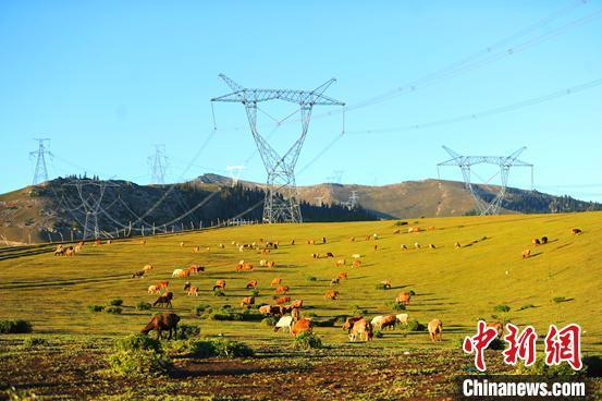 伊犁—博州—乌苏—凤凰750千伏Ⅱ回输变电工程。马元 摄