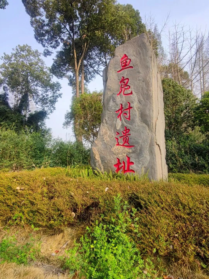 图据温江文体旅