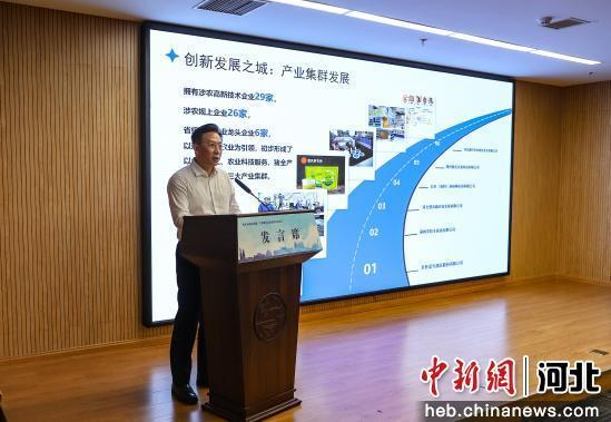 活动现场。 李硕 摄