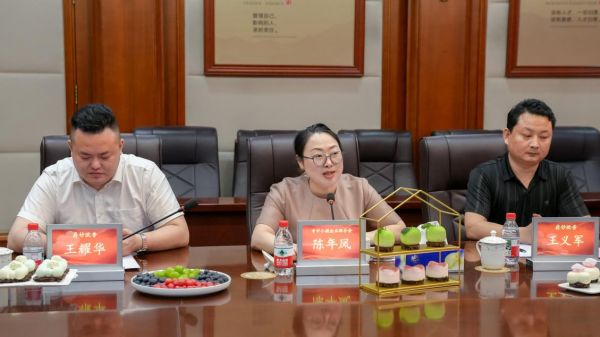 株洲市中小微企业联合会会长陈年凤（图中）在座谈会上发言