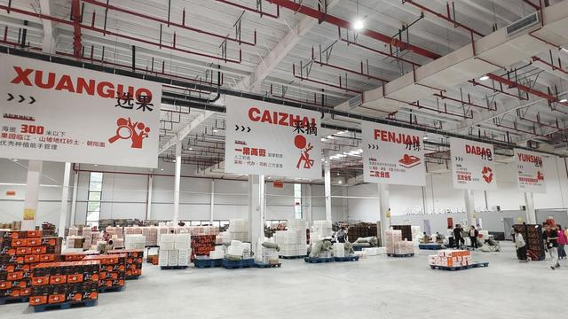 秭归“维楚云仓”为入驻脐橙企业大大降低了物流成本。 澎湃新闻记者 王岱玉 图
