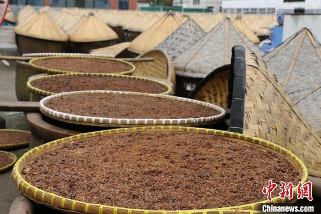 4月23日，晾晒印盐，其从酱油酿造过程中提取而来。中新社记者 项菁 摄