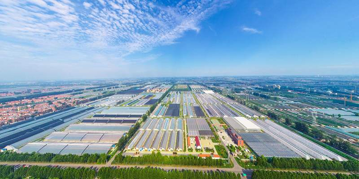 寿光市现代农业高新技术试验示范基地。受访者供图