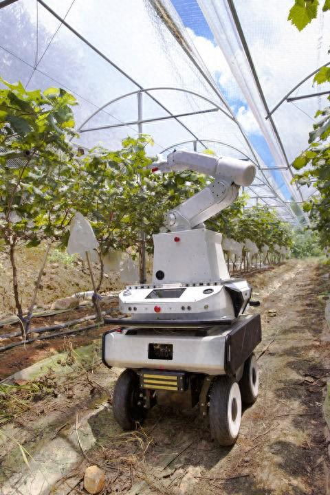 煜禾森科技公司研发的采摘机器人。（受访者供图）