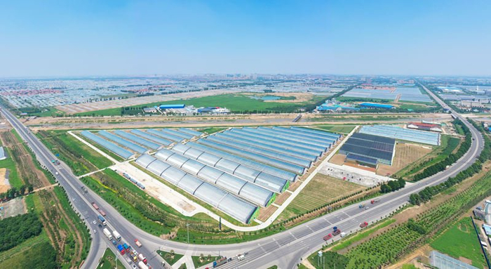 寿光市丹河设施蔬菜标准化生产示范园鸟瞰图。受访者供图