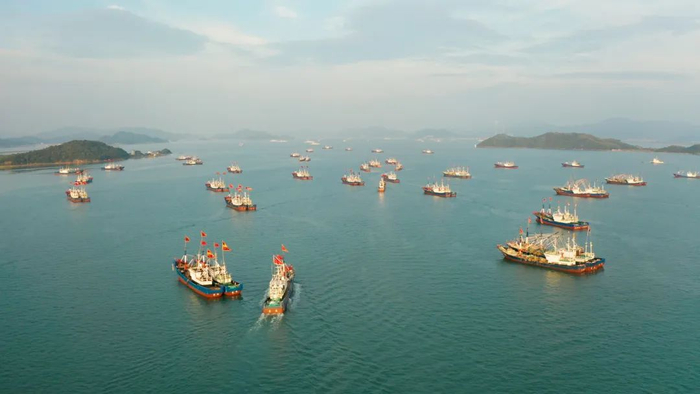 本期甬上好物也为大家找来一批人气鱼货，码头直采，全程冷链，都是甲板上的鲜。