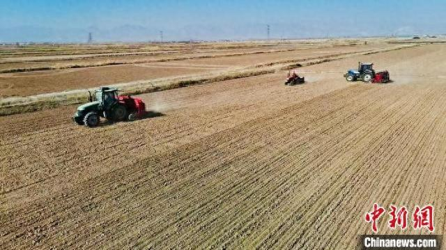 图为小麦种植现场。 王皓巍 摄