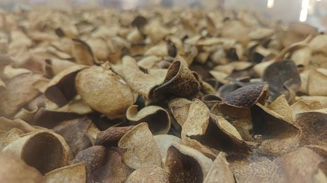 宜都土老憨橘醋庄园里展示的10年陈皮，售价高达4500元一斤。 澎湃新闻记者 王岱玉 图