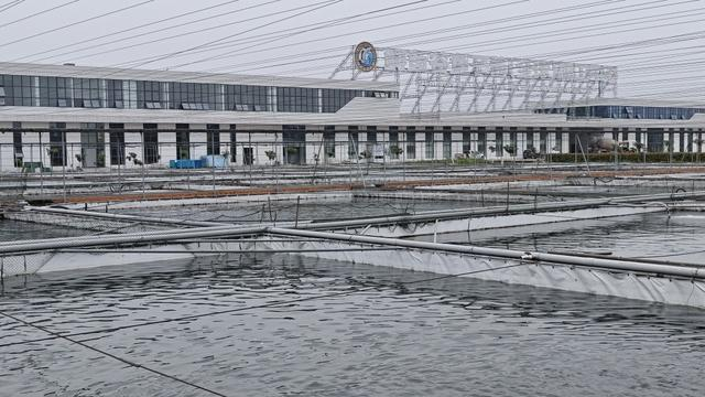 宜都建设中的鱼子酱（全球）加工中心。 澎湃新闻记者 王岱玉 图