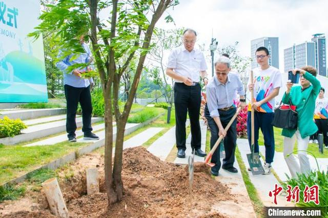 王蒙为“青春林”正式开林。深圳理工大学供图