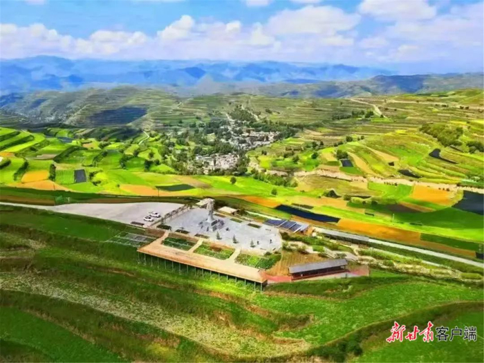 宕昌县哈达铺镇拉路梁万亩中药材标准化种植基地。