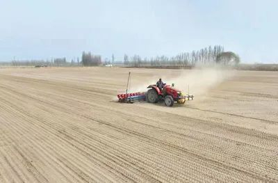4月10日，新疆生产建设兵团第十四师昆玉市二二五团玉泉镇沙漠水稻播种现场。钟昌涛 摄