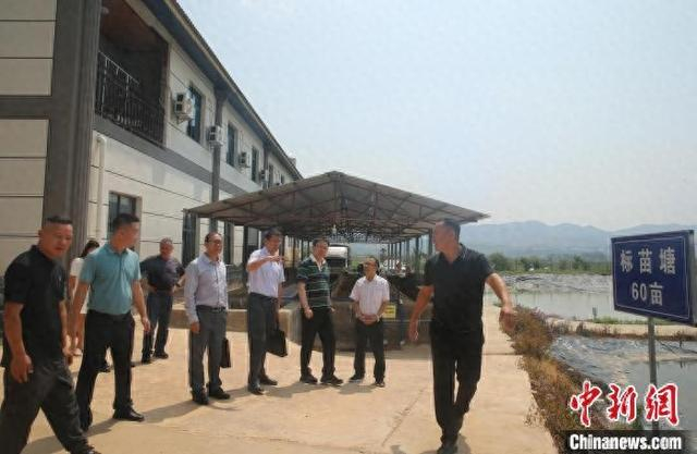 4月24日，专家在普文镇调研水产养殖。黄兴鸿 摄