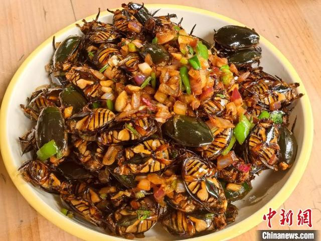 4月13日，广东台山市，用金边龙虱烹出的特色菜。李晓春摄
